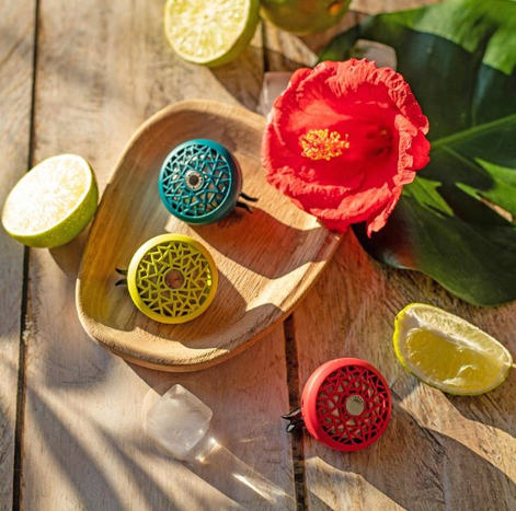 Maison Berger Autoparfum