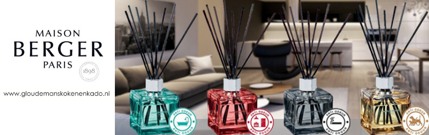 Maison Berger Geurstokjes